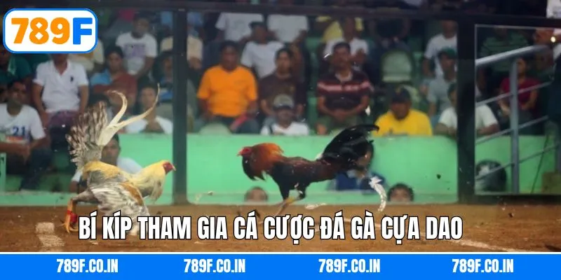 Bí quyết giành chiến thắng trong đá gà cựa dao tại 789F
