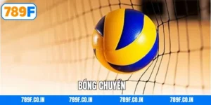 Bóng Chuyền - Khám Phá Thế Giới Cá Cược Hấp Dẫn Tại 789F