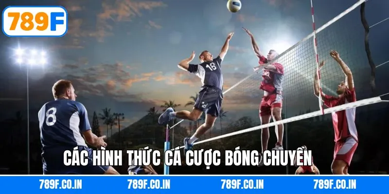 Bóng Chuyền - Khám Phá Thế Giới Cá Cược Hấp Dẫn Tại 789F 5 Các kèo dự đoán cơ bản tại 789F