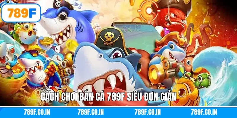 Cách chơi siêu dễ dành cho hội viên mới nhập cuộc