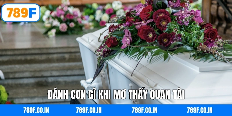 Mơ Thấy Quan Tài Đánh Con Gì - Số Đề May Mắn Tại 789F 6 Đánh con gì khi mơ thấy quan tài