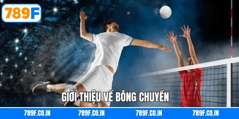 Bóng Chuyền - Khám Phá Thế Giới Cá Cược Hấp Dẫn Tại 789F 4 Khái quát hình thức cá độ bóng chuyền