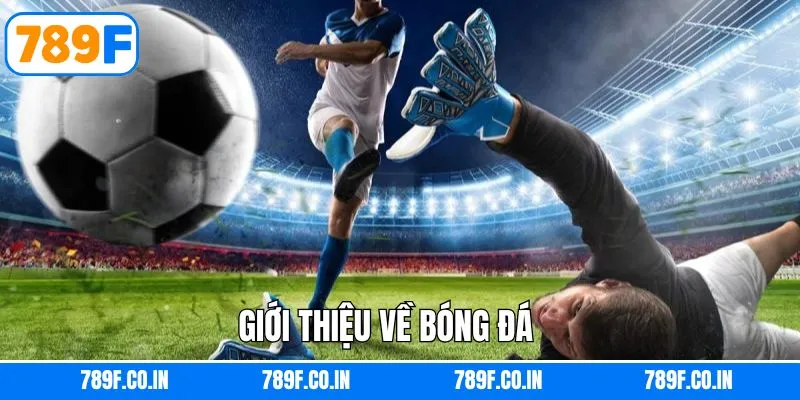 Khám phá nét hấp dẫn mà bộ môn mang lại