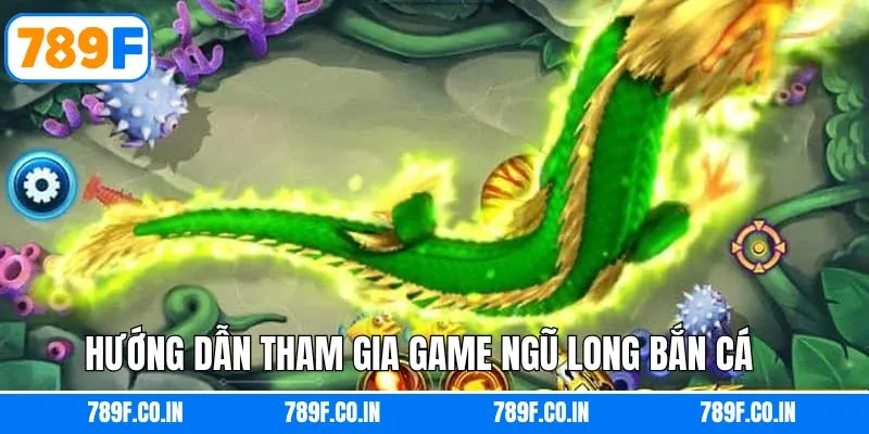 Hướng dẫn quy trình tham gia ngũ long đơn giản