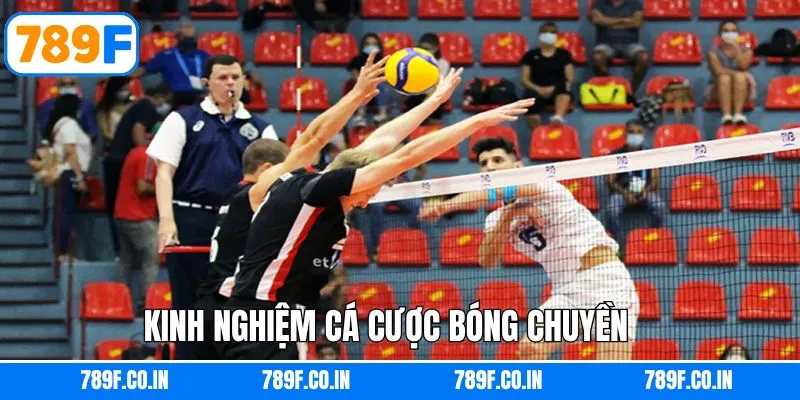 Bóng Chuyền - Khám Phá Thế Giới Cá Cược Hấp Dẫn Tại 789F 6 Chiến thuật đầu tư hiệu quả khi cá độ online