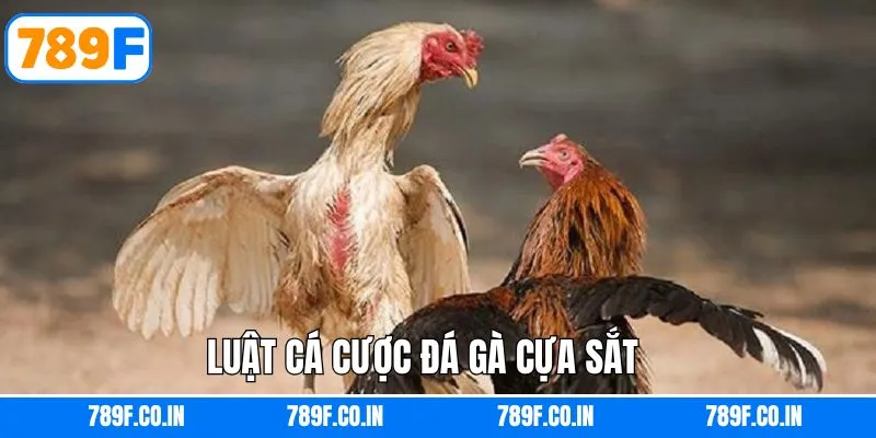 Nắm rõ về luật chơi khi tham gia đá gà cựa sắt hiệu quả