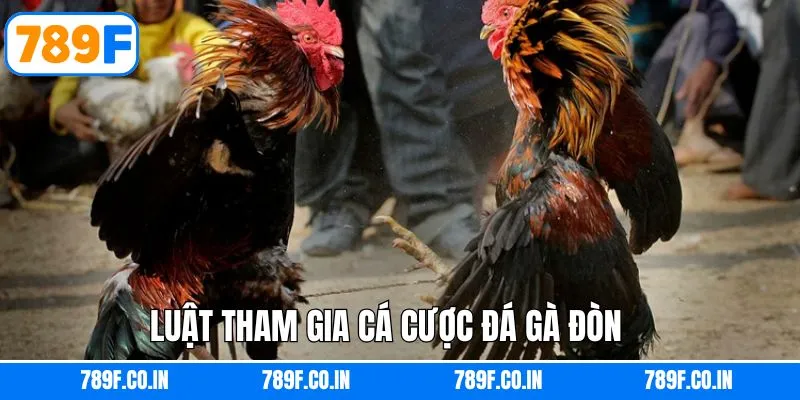 Tân thủ cần hiểu luật chơi đá gà đòn