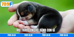 Giải Mã Chi Tiết Giấc Mơ Thấy Con Chó Đánh Con Gì Chuẩn Nhất