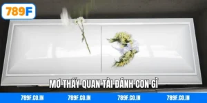 Mơ thấy quan tài đánh con gì