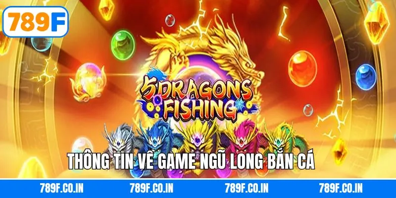 Nét chính về tựa game ngũ long săn thưởng hấp dẫn