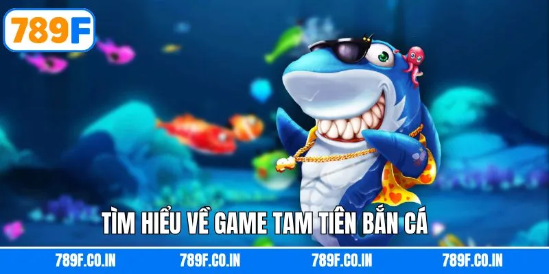 Đôi nét thú vị về tam tiên bắn cá