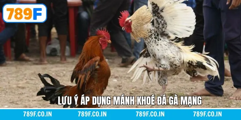 Chú ý khi tìm hiểu mánh khóe đá gà mạng để đặt cược