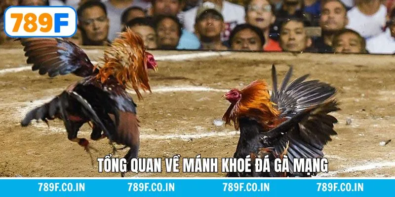 Giới thiệu về mánh khóe đá gà mạng là gì