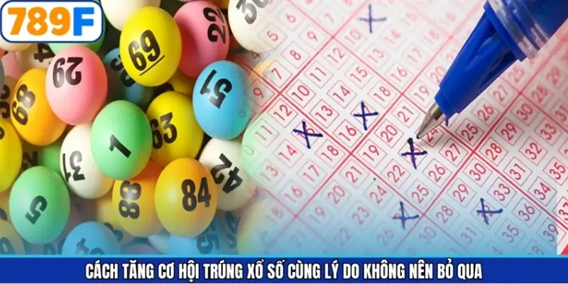 Cách tăng cơ hội trúng xổ số cùng lý do không nên bỏ qua Cách tăng cơ hội trúng xổ số cùng lý do không nên bỏ qua